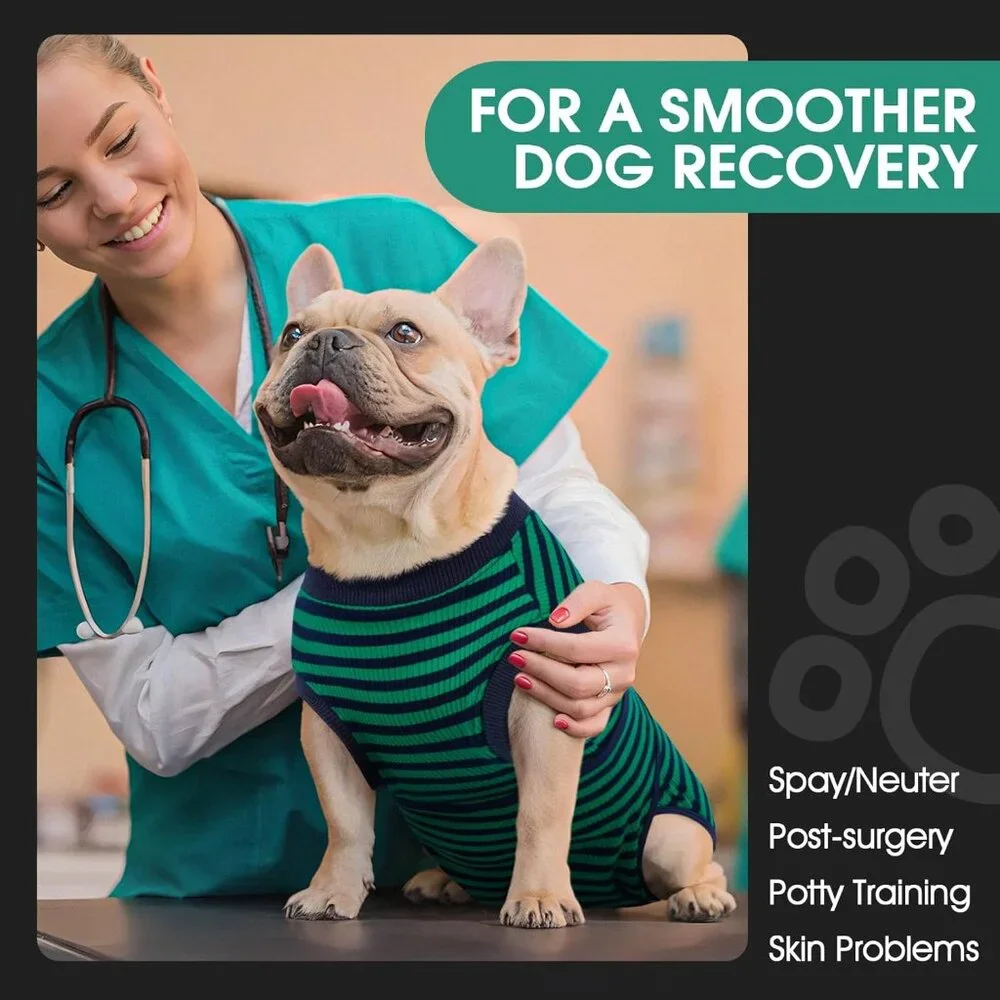 Recovery Suit for Dogs